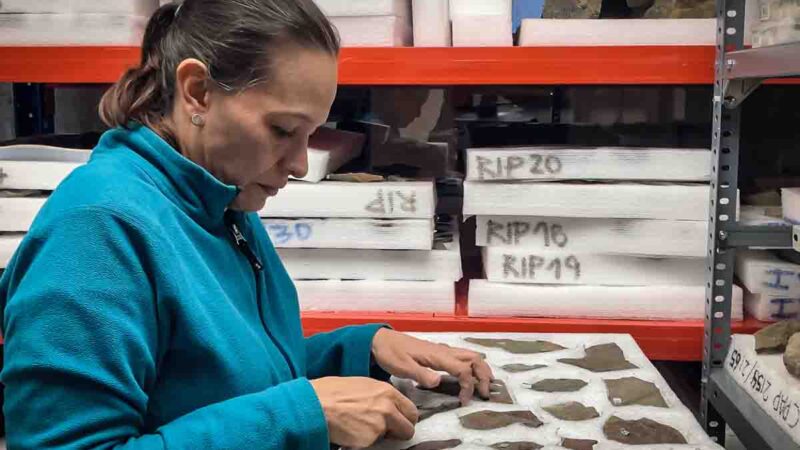 Investigadoras e investigadores brasileños realizan pasantía en INACH para estudiar el pasado de la Antártica