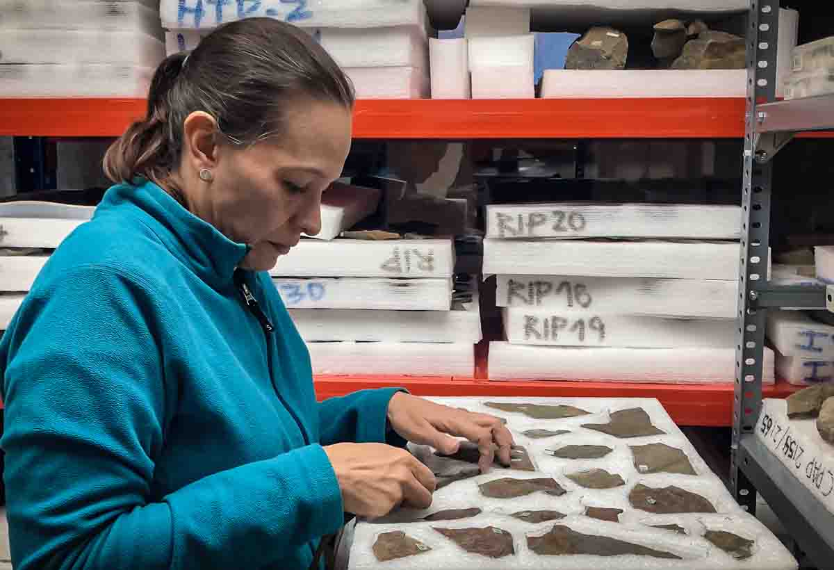 Investigadoras e investigadores brasileños realizan pasantía en INACH para estudiar el pasado de la Antártica