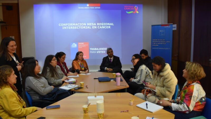 Seremi de Salud de Magallanes conformó Mesa Regional Intersectorial de Cáncer