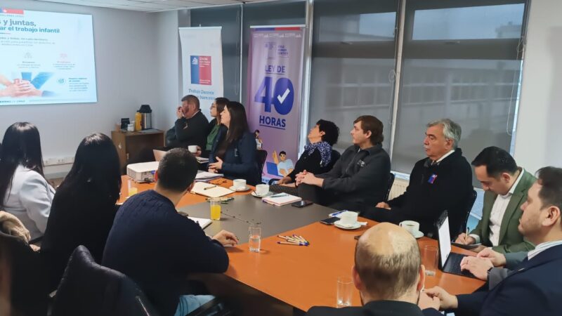 Comité regional contra el Trabajo Infantil inicia su trabajo 2026 en Magallanes