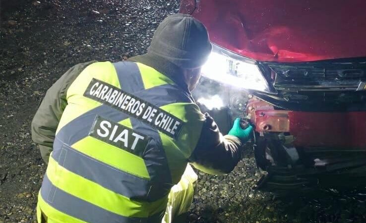 Fiscalía descarta responsabilidad de conductor en fatal atropello que costó la vida a vecina de Punta Arenas