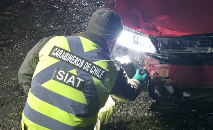 Mujer de 72 años falleció tras ser atropellada en población El Pingüino de Punta Arenas