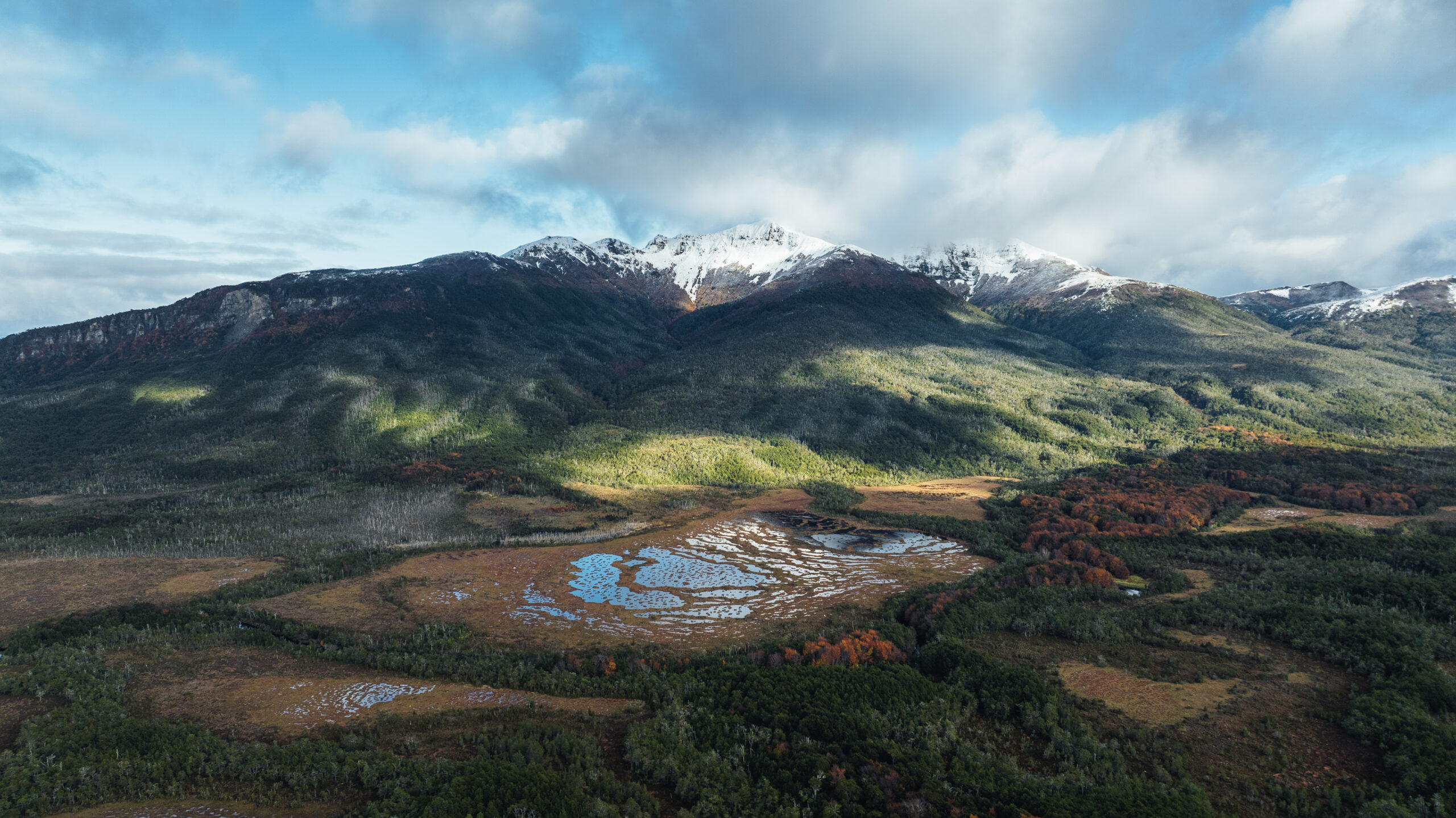 Turberas de Cabo Froward en Magallanes almacenan hasta 3 veces más carbono que los bosques del sector.