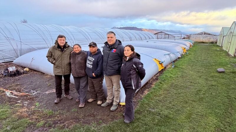 Un furgón nuevo y la apuesta con apoyo de INDAP que cambió la temporada agrícola en Puerto Natales.