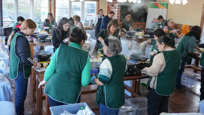 Taller de Hilado y Teñido de Lanas se realizó exitosamente en la comuna de Río Verde