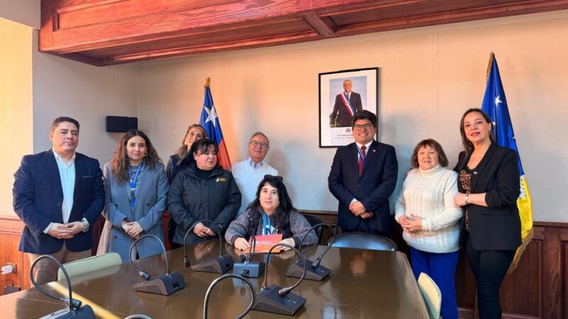 Organizaciones sociales de Magallanes se adjudicarán más de 65 millones de pesos del FFOIP 2026