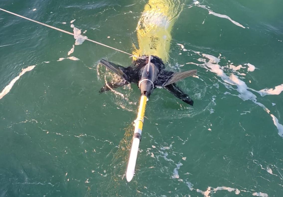 Exitosa misión de un planeador submarino en el estrecho de Magallanes como antesala al despliegue en Antártica.