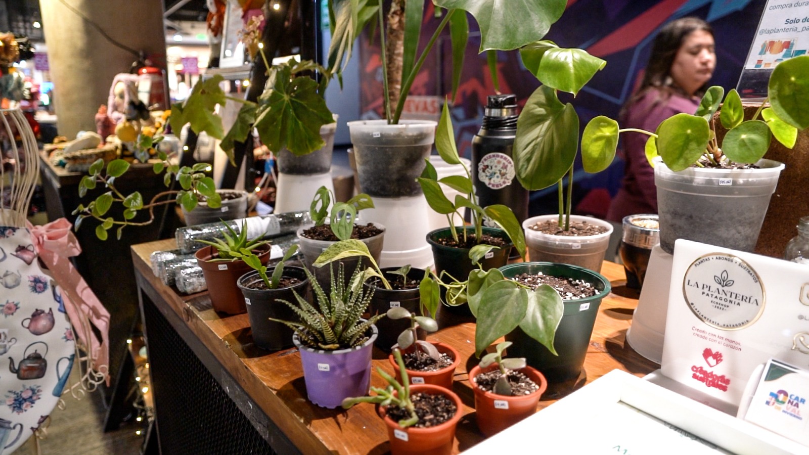 Feria Invernadas de Punta Arenas abre vitrina para destacar el talento emprendedor magallánico.