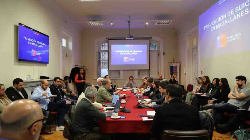 Consejo Regional inicia trabajo para fortalecer la respuesta regional en salud mental