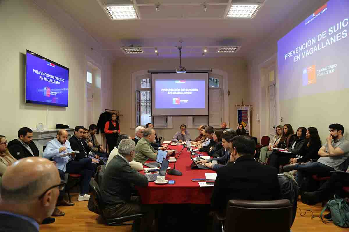 Consejo Regional inicia trabajo para fortalecer la respuesta regional en salud mental