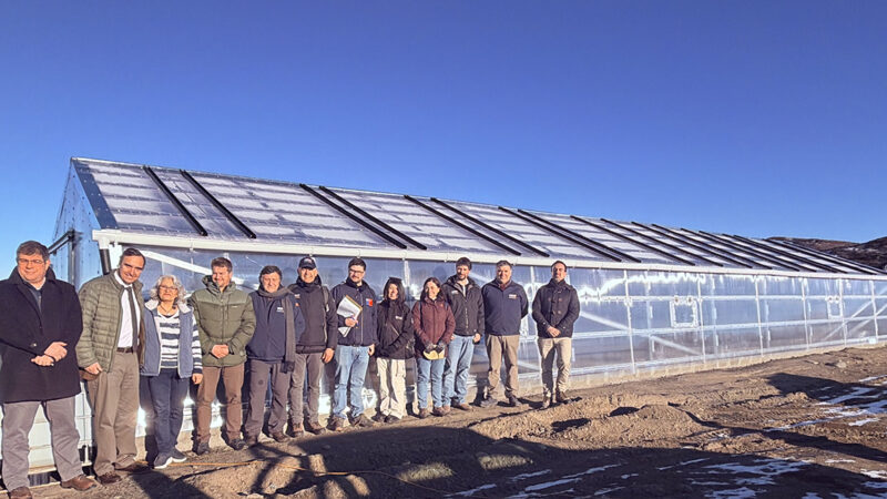 Invernaderos de nueva generación fortalecen la agricultura familiar de Magallanes.