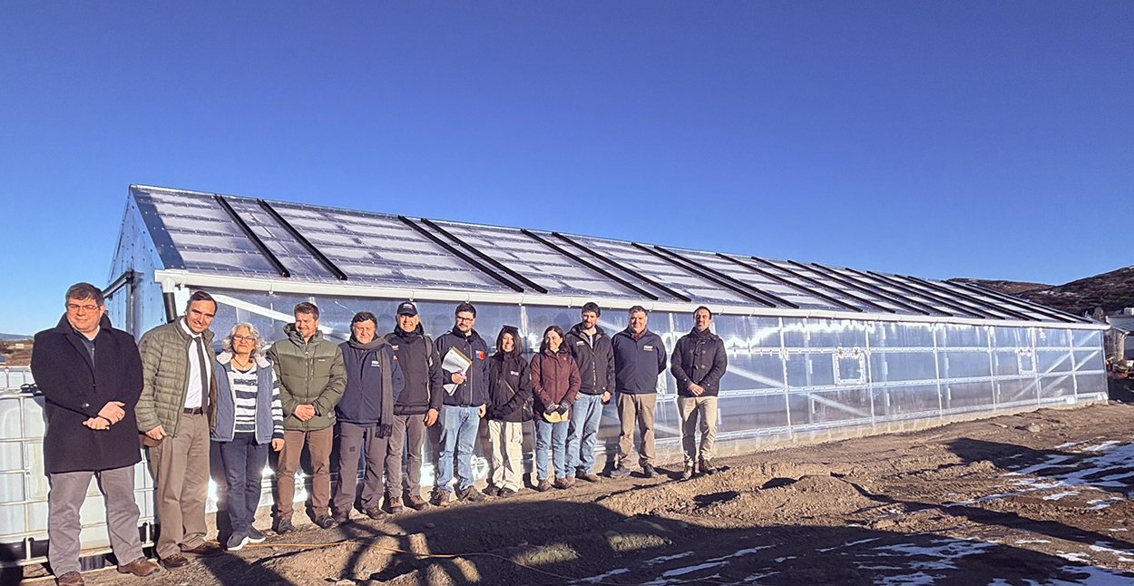 Invernaderos de nueva generación fortalecen la agricultura familiar de Magallanes.