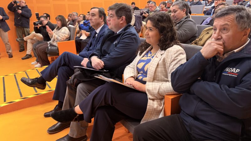 Magallanes mira al campo y lidera la revolución agrícola que busca alimentar al fin del mundo.