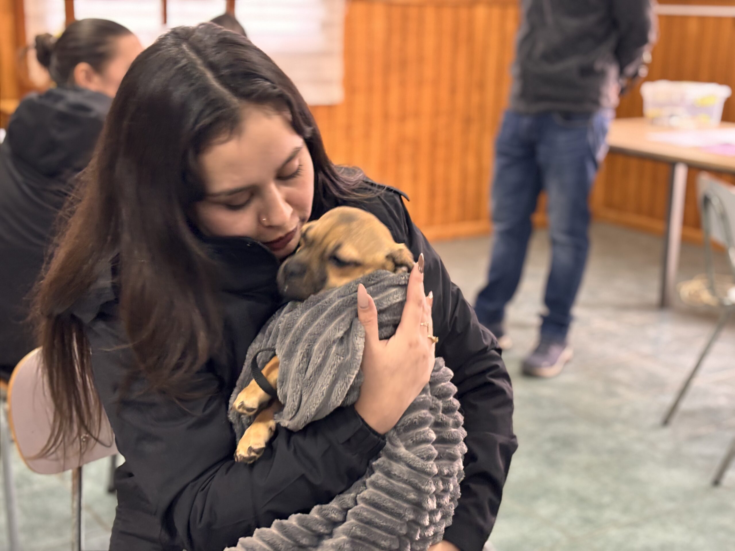 SUBDERE informa sobre el programa de Tenencia Responsable de Animales de Compañía en Magallanes.