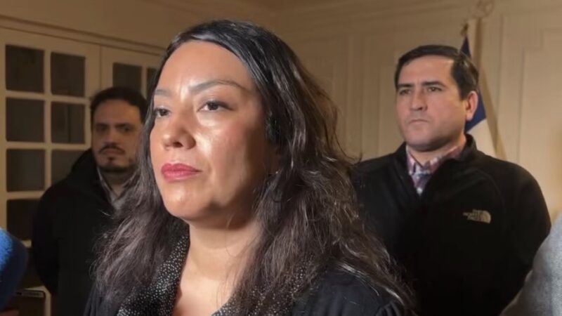 Delegada Presidencial confirma detención de ex Seremi de Salud