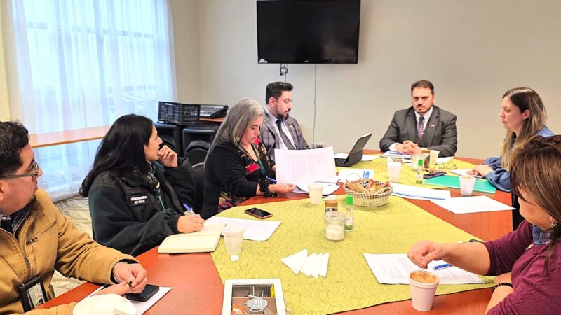 Potencian Mesa Regional de Capacitación y Empleo como mecanismo de reinserción social en Magallanes.
