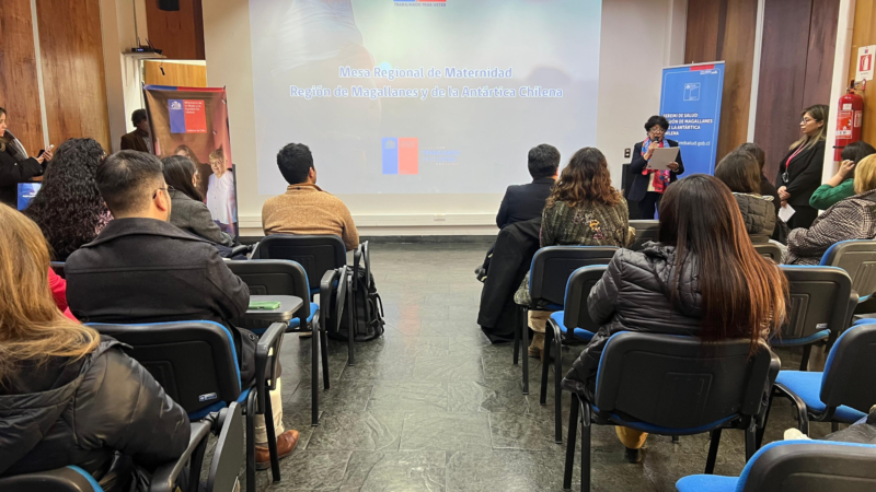 En Magallanes se constituye Mesa Regional de Maternidad para fortalecer apoyo a las madres y familias.