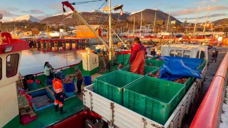 Autoridades refuerzan difusión y llaman a respetar la normativa ante inicio de la temporada de centolla en Puerto Williams 