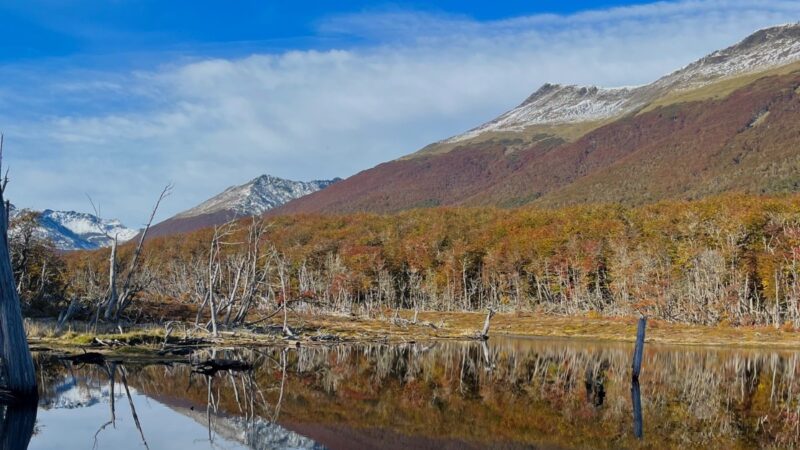 Día Internacional del Guardaparques: el trabajo que protege uno de los territorios más prístinos de la Patagonia Austral.