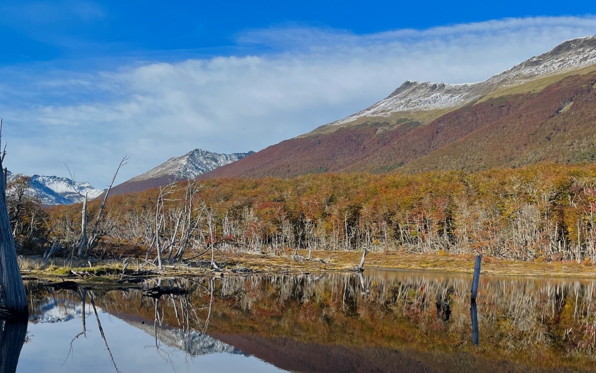 Día Internacional del Guardaparques: el trabajo que protege uno de los territorios más prístinos de la Patagonia Austral.