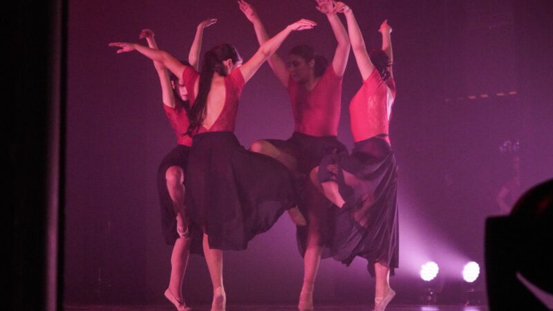 Ballet del Teatro Municipal de Punta Arenas deslumbró con su novena gala.