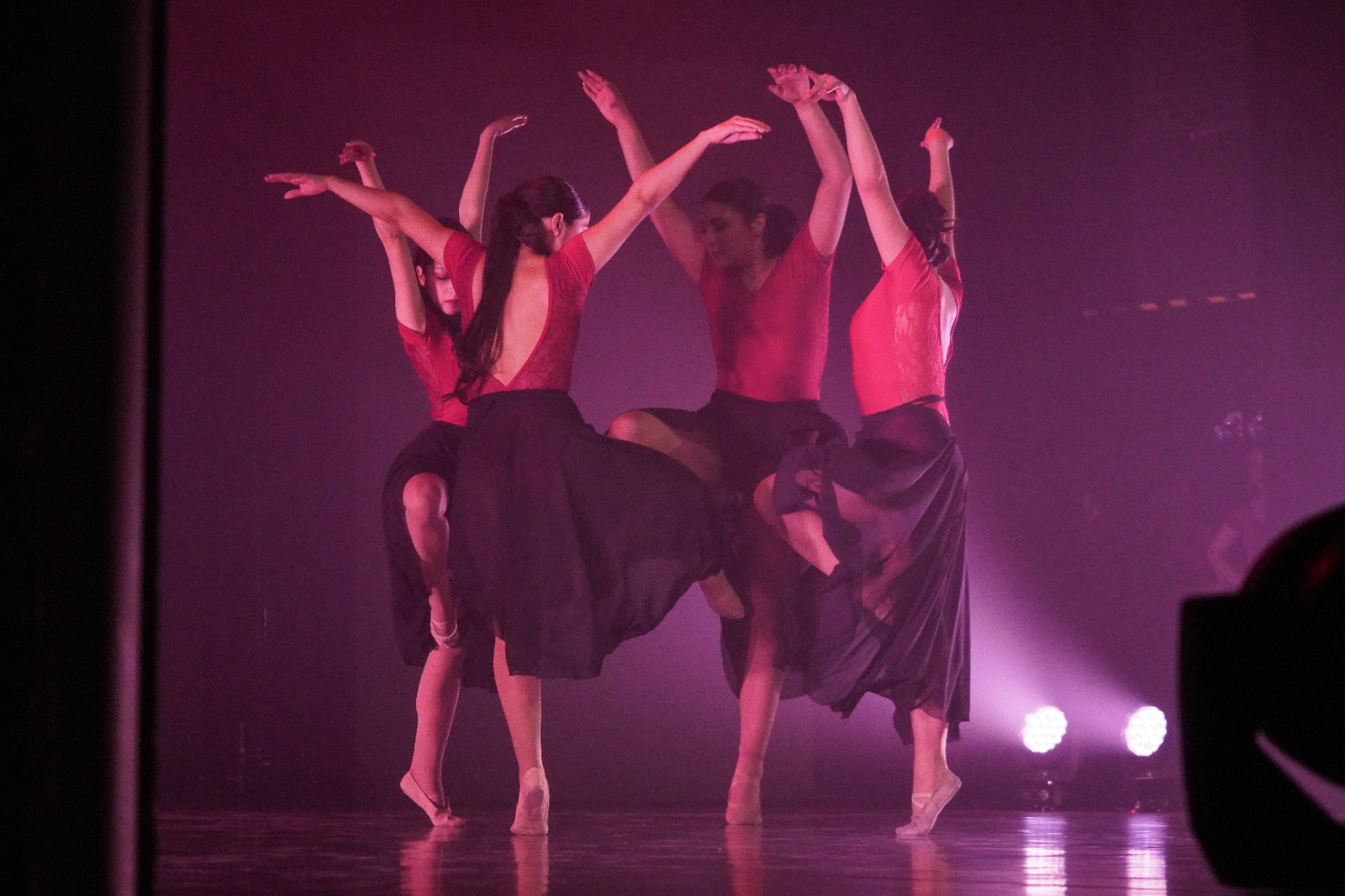 Ballet del Teatro Municipal de Punta Arenas deslumbró con su novena gala.