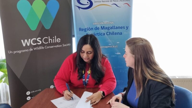 Sernapesca y WCS Chile fortalecen alianza para la conservación marina en Magallanes.
