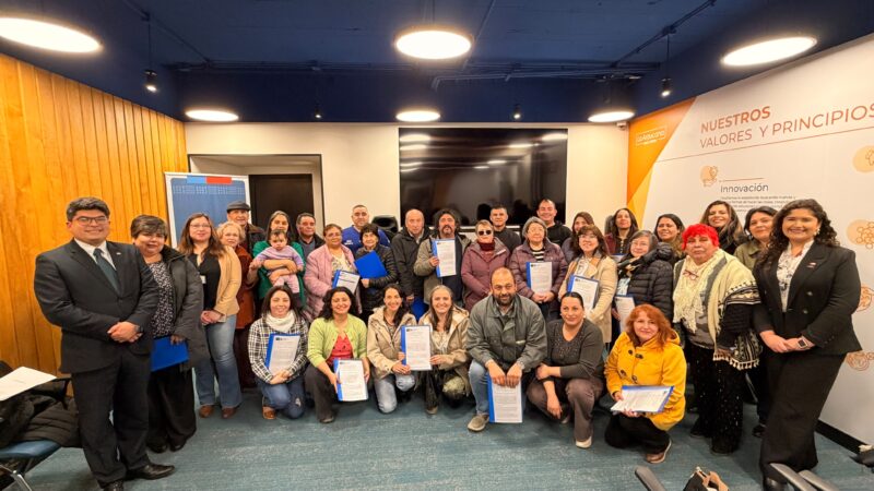 Gobierno entrega más de $65 millones a 27 organizaciones sociales de Magallanes a través del FFOIP 2026