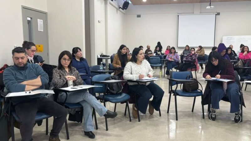 Hospital Clínico Magallanes capacita a sus equipos profesionales como líderes en Buenas Prácticas  bajo el modelo internacional RNAO.