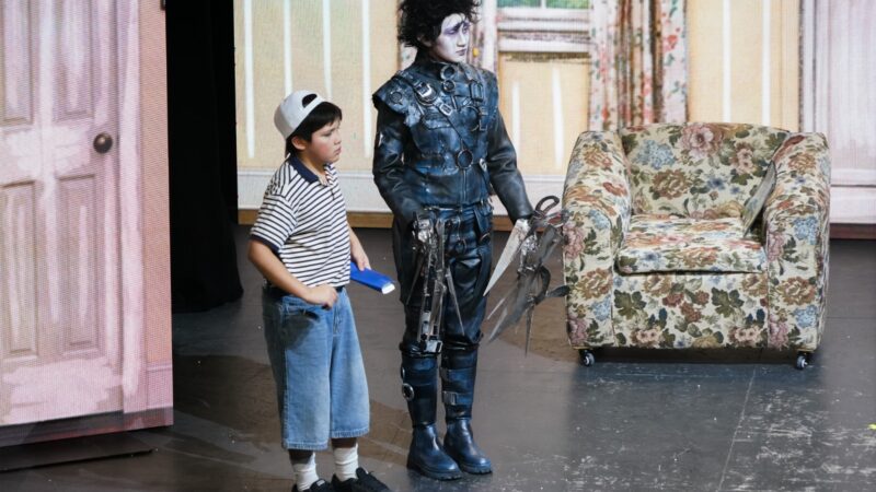Elenco del Teatro Municipal de Punta Arenas estrenó “Eduardo Manos de Tijera”.