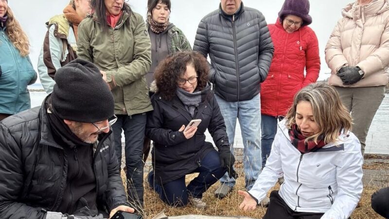 Tras las huellas de Ciudad del Rey Don Felipe: cerca de 100 personas participaron en workshop en el Parque del Estrecho