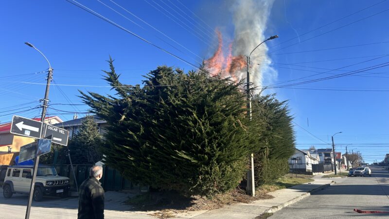 Investigan presunta intencionalidad tras incendio que amenazó vivienda en Punta Arenas.