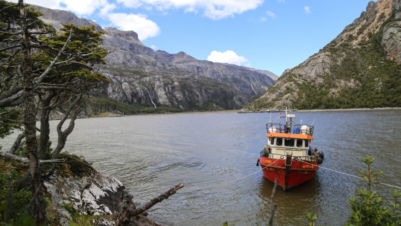 Día de las Áreas Marinas Protegidas en Magallanes: conservación requiere monitoreo, participación y una gestión colaborativa.