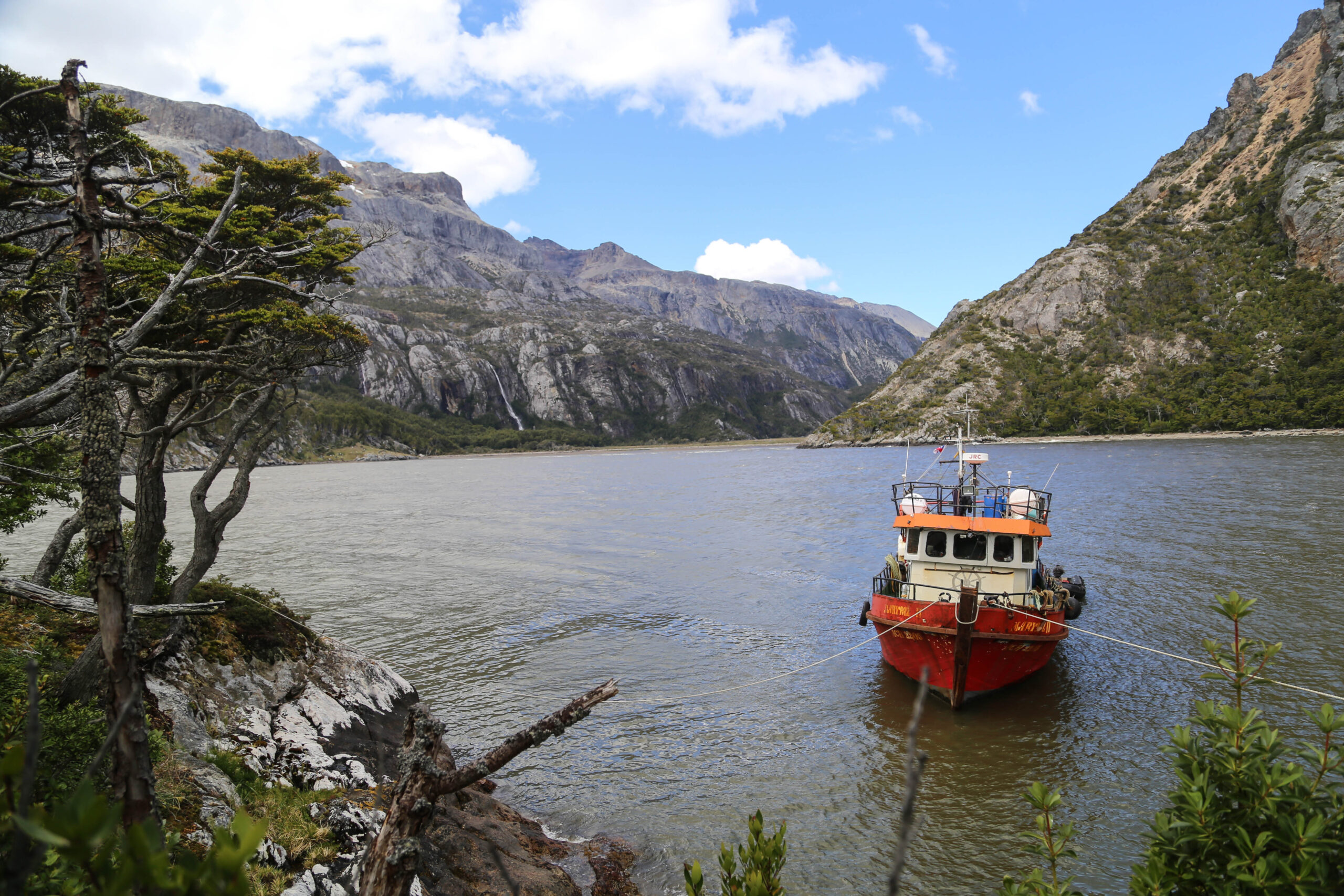 Día de las Áreas Marinas Protegidas en Magallanes: conservación requiere monitoreo, participación y una gestión colaborativa.