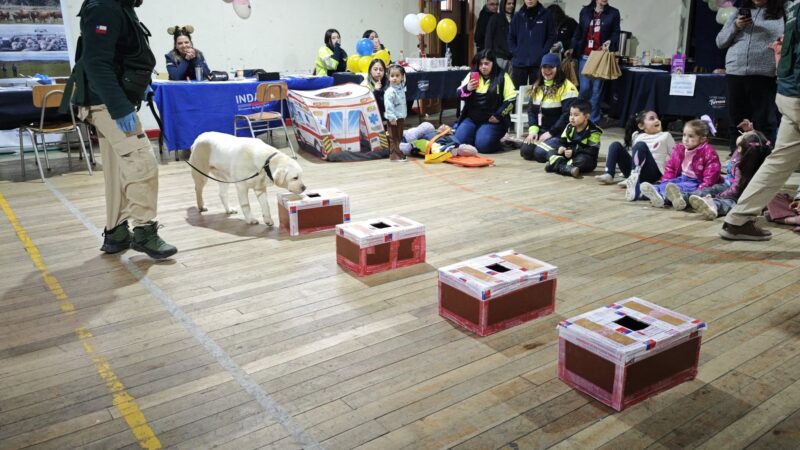Éxito total en la jornada infantil de «Gobierno en Terreno» en Puerto Natales.