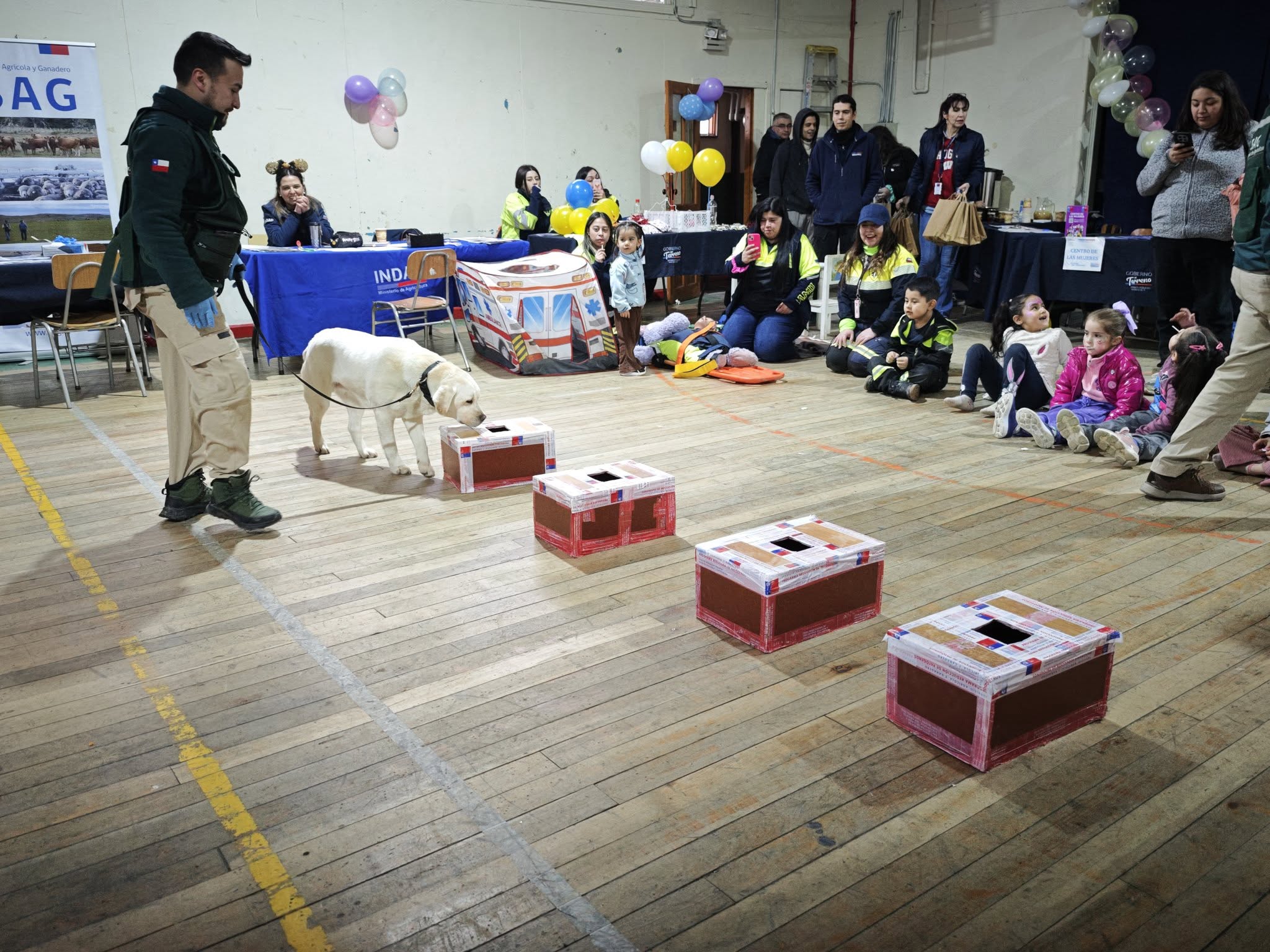 Éxito total en la jornada infantil de «Gobierno en Terreno» en Puerto Natales.