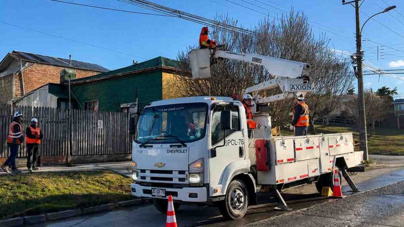 EDELMAG realiza trabajos preventivos de poda junto a SEC y Seremi de Energía