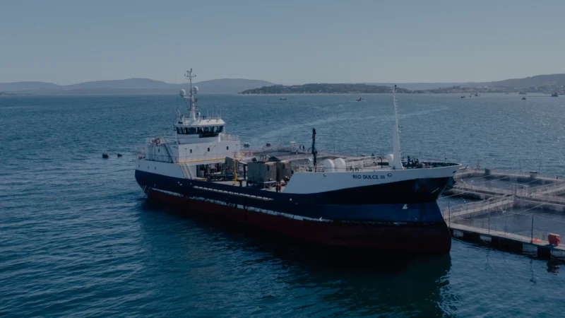 El impacto de los aranceles recientes del gobierno de EEUU contra la industria salmonera en Chile.