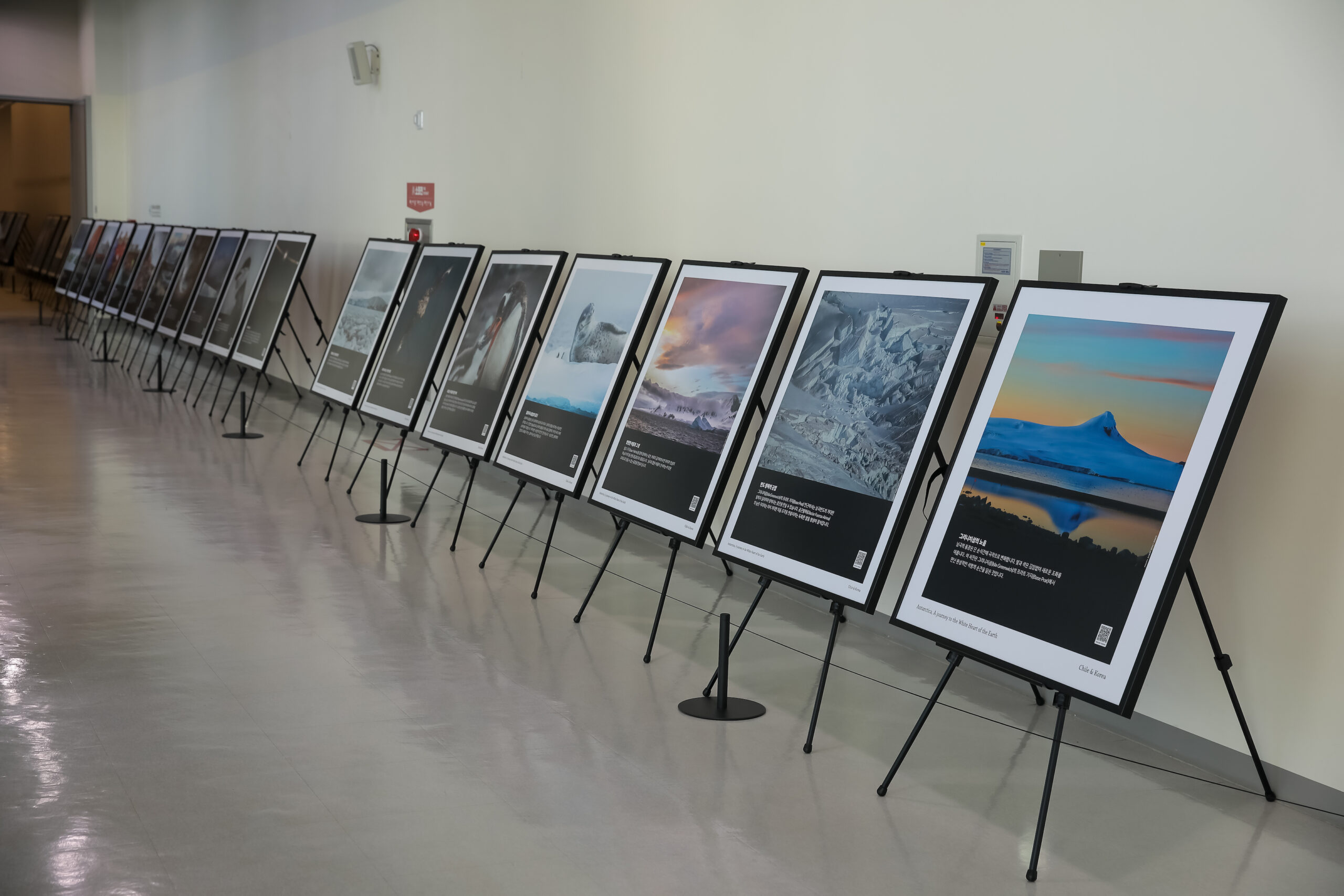 Chile y Corea del Sur estrechan lazos con destacada exposición fotográfica antártica en Incheon.