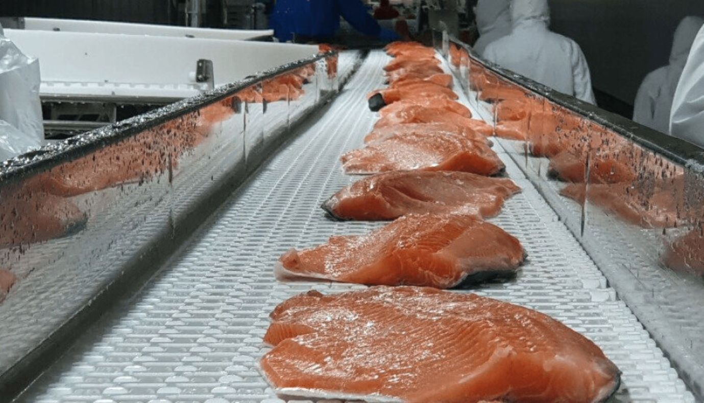 US$ 50 millones es el balance 2026 de las exportaciones de salmón desde Magallanes.