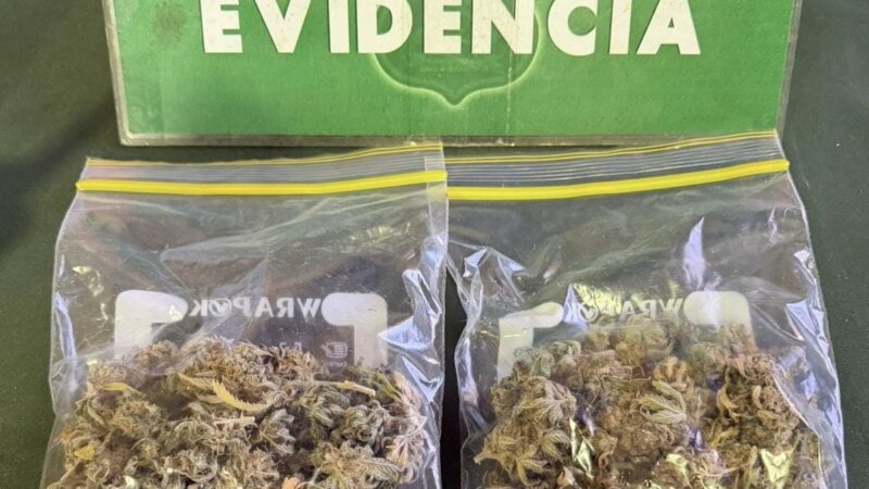 Carabineros detiene a conductor con más de 34 gramos de marihuana en pleno centro de Punta Arenas