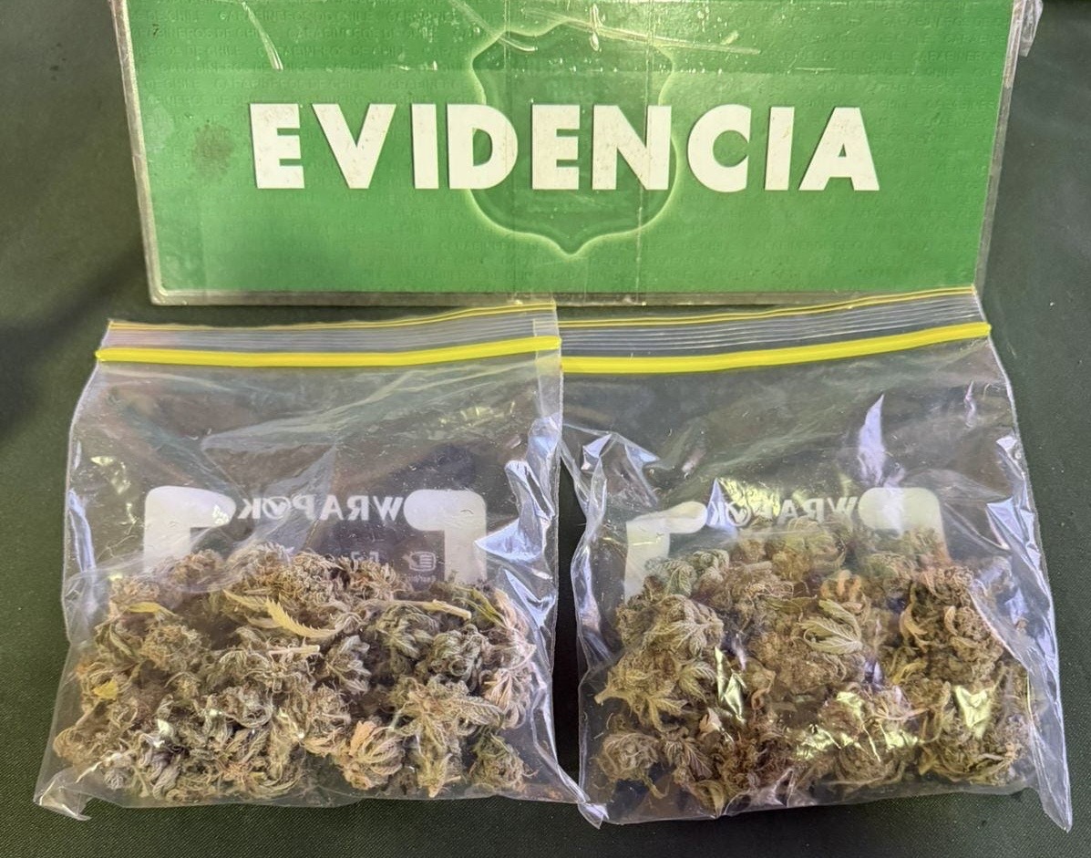 Carabineros detiene a conductor con más de 34 gramos de marihuana en pleno centro de Punta Arenas