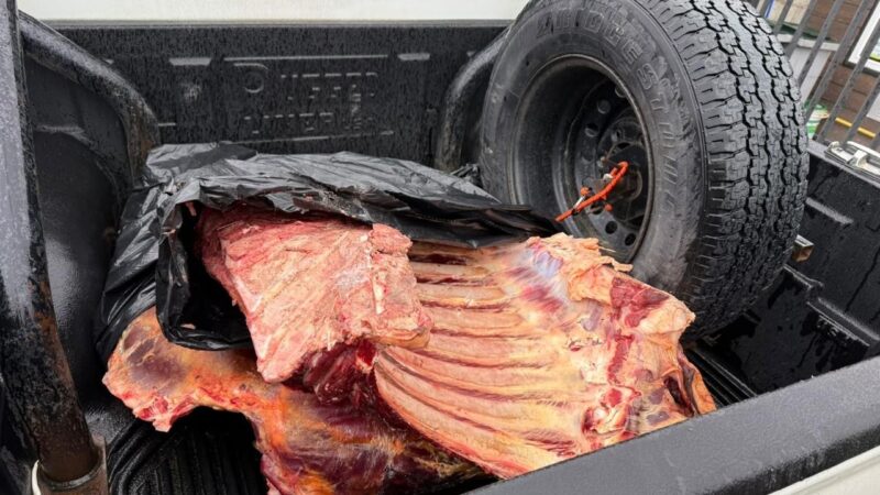 Operativo coordinado por la SEREMI de Seguridad Pública permite a la PDI decomisar otros 120 kilos de carne en Punta Arenas.