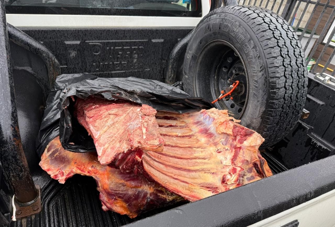 Operativo coordinado por la SEREMI de Seguridad Pública permite a la PDI decomisar otros 120 kilos de carne en Punta Arenas.
