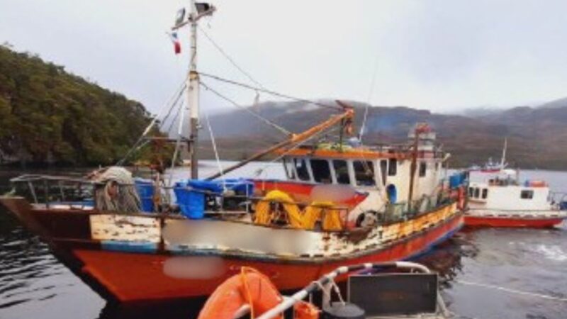 Condenan a armador y buzo por extracción ilegal de luga en Puerto Natales