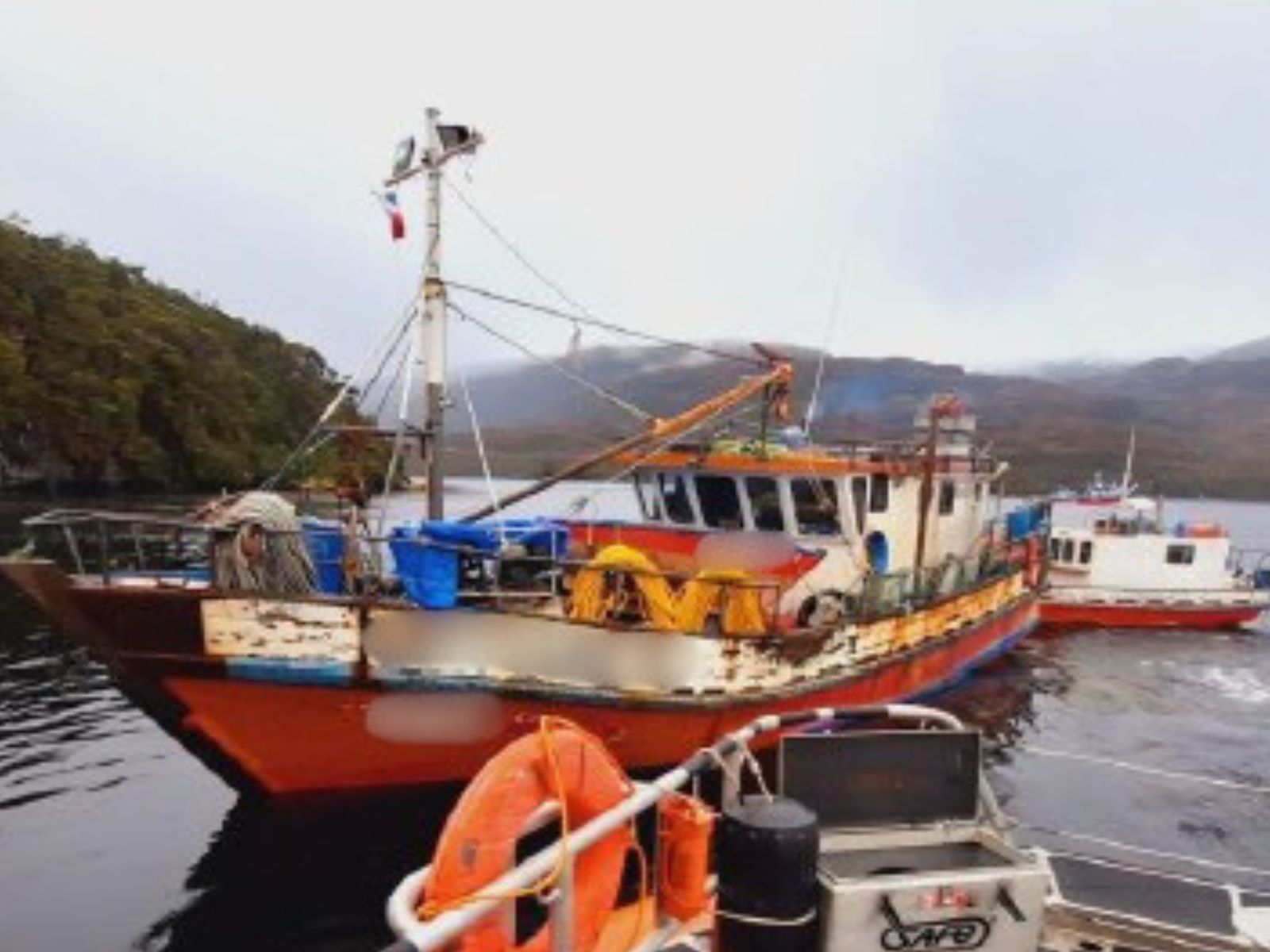 Condenan a armador y buzo por extracción ilegal de luga en Puerto Natales