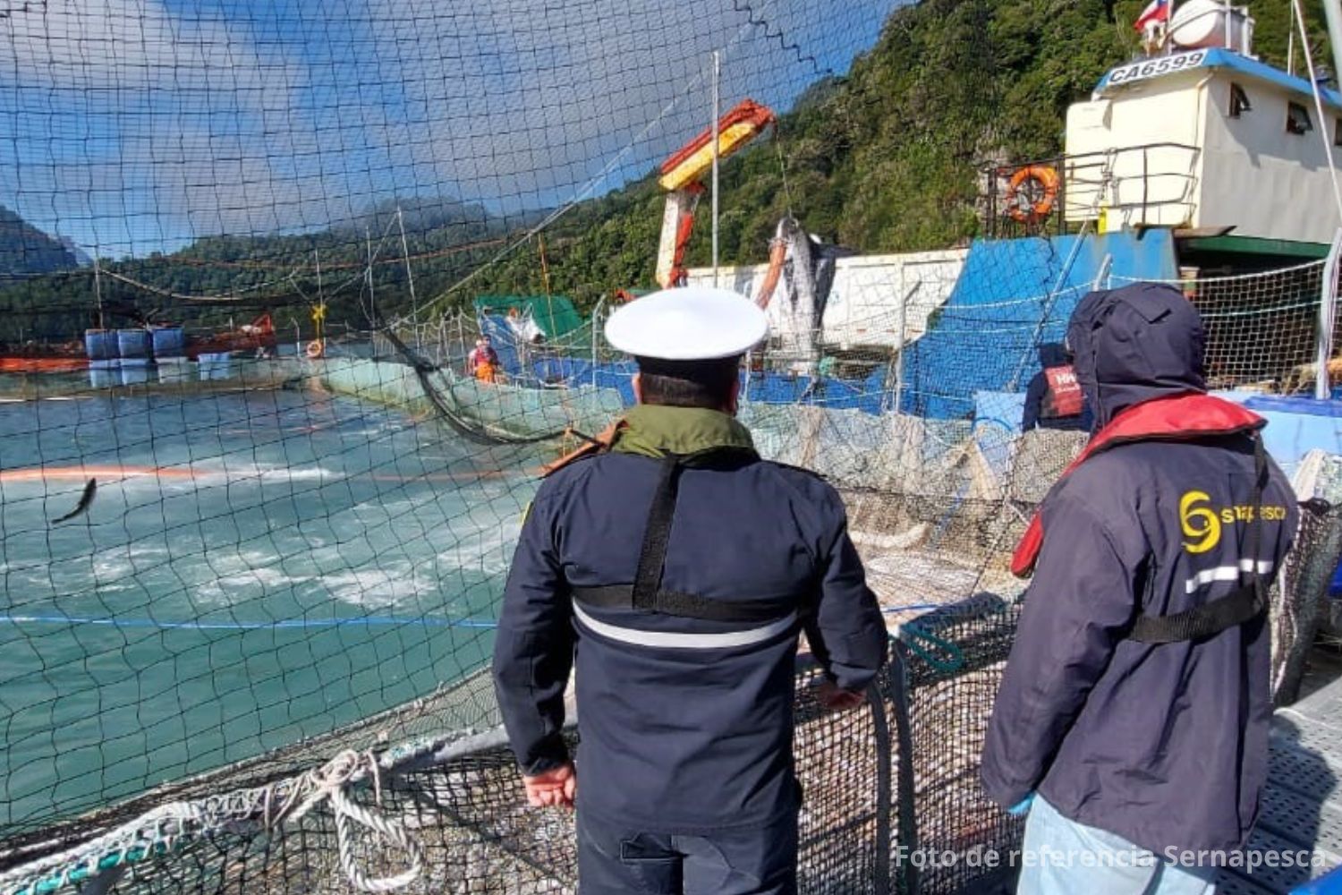 Sernapesca activa procedimiento de verificación ante caso sospechoso de virus ISA en centro de cultivo de Aysén