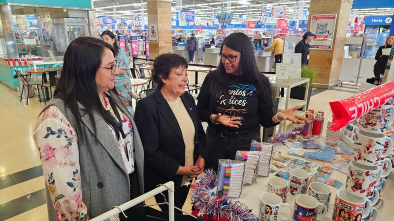 Emprendedoras del SernamEG exponen sus productos en la previa del 18 en el Mall Espacio Urbano Pionero de Punta Arenas.