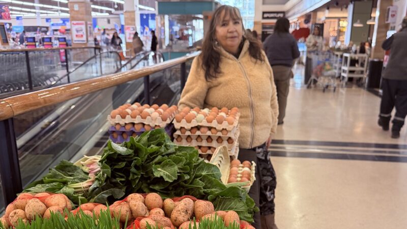 INDAP celebra una década llevando la producción campesina a las mesas magallánicas.