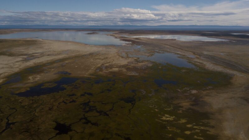 Estromatolitos en Tierra del Fuego-Chile: Protagonistas de la vida en el planeta | Corporación Laguna de los Cisnes, Porvenir, Tierra del Fuego.